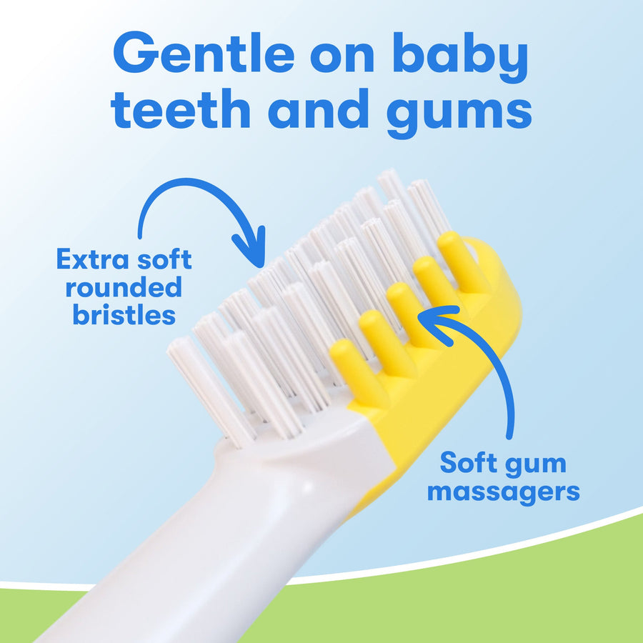 First Firefly Baby Shark Light up toothbrush head close up - Gentle on baby teeth and gums, extra soft rounded bristles, soft gum massagers